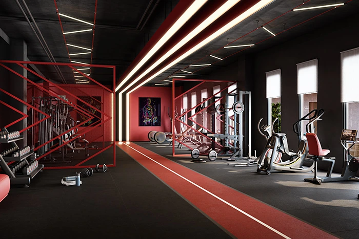 gym-new-img.webp